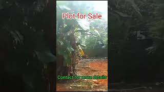 PLOT SALE IN BALARAMAPURAM Contact no in video 🙏🙏 [upl. by Ylerebmik]