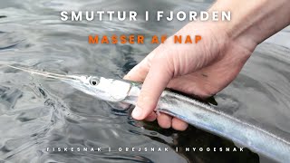 SMUTTUR I FJORDEN  EN MASSE NAP [upl. by Ferdie]