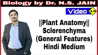 Sclerenchyma General Features Plant Anatomy  Hindi Medium [upl. by Aekan609]