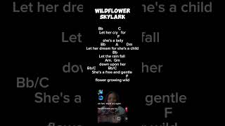 WILDFLOWER CHORDS AND LYRICS  COVER  WILDFLOWER BY SKYLARK [upl. by Wagner]