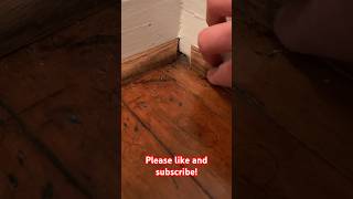 Putting down shoe moulding in old house carpentary construction shorts diy trending [upl. by Agnimod122]