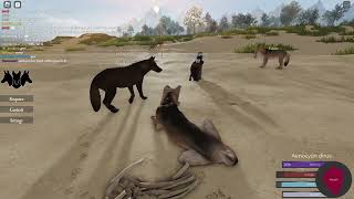 Wolf Packs Epic Journey In Cenozoic Survival [upl. by Yellac]