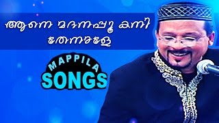 ആനെ മദനപ്പൂ കനി തേനാളെ  Malayalam mappilapattukal  Edappal Bappu Songs 2015 [upl. by Aihsaei]