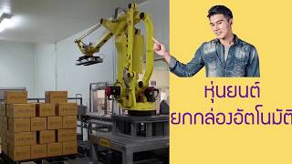 หุ่นยนต์ ยกกล่อง Robot Palletizer [upl. by Bikales65]