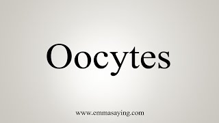 How To Say Oocytes [upl. by Odranreb]