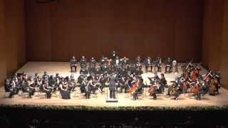 Tchaikovsky Symphony No 5 Op 64 [upl. by Sherlock]