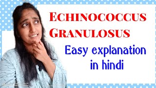 Echinococcus Granulosus morphology Life cycle in hindi Pathogenesis in hindi Lab diagnosis [upl. by Dearborn785]