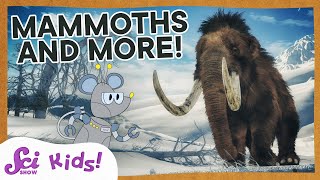 Woolly Mammoths Mastodons and Amazing Teeth  SciShow Kids [upl. by Seve407]