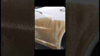 Mesmerizing Vehicle Pressure Washing [upl. by Eisenhart872]