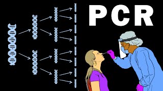 PCR  POLYMERASE CHAIN REACTION [upl. by Llebana]