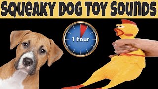 Squeaky Toy Dog Toy Sounds 1 Hour  DOG TOYS ONE HOUR [upl. by Frulla423]