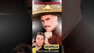 VICENTE FERNANDEZ  POR TU MALDITO AMOR [upl. by Stucker740]