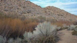 Hiking Pipes Canyon in the new Sand to Snow National Monument [upl. by Eryn674]