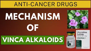 Mechanism of Action of Vincristine Vinblastine and Vinorelbine [upl. by Biancha40]