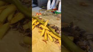 والله ياهو صااااروخ و ابوالصواريخ بعد 🤤هذي تاكلها وتنسى الدنيا من اللذّة🌯 [upl. by Palmira]