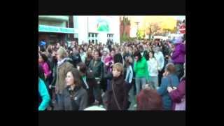 Flashmob in der Itzehoer Innenstadt [upl. by Omsoc]