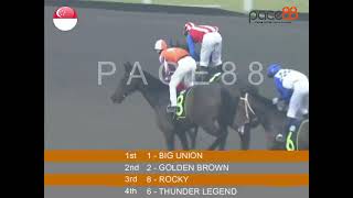 20240804  Race 10 Singapore Kranji Horse Racing Highlights  Pace88 Horse [upl. by Yalhsa132]