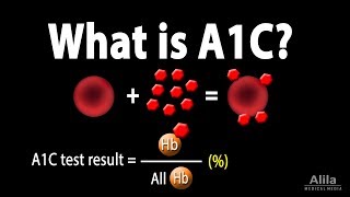 A1C Test for Diabetes Animation [upl. by Ainnat]