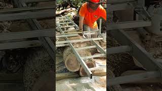 making first cut in a honey locust log with chainsaw mill shortsfeed ms881 [upl. by Aerdnat]