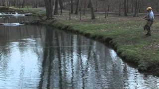 Dogwood Canyon Fly Fishing [upl. by Gone]