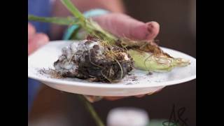 Andrew Zimmern Cooks Corn Huitlacoche [upl. by Dehlia]