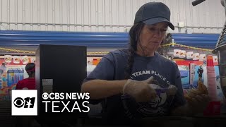 Queen of Sweets Tammy Stiffler’s 30year legacy at the State Fair of Texas [upl. by Laresa157]