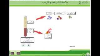 مكونات الدم الثالثة إعدادي [upl. by Darej508]