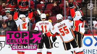 Wildest Wackiest Most Exuberant Cellys of December  NHL [upl. by Fransisco]