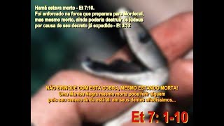 Ester 7110  HAMÃ FOI ENFORCADO NA FORCA QUE PREPARAVA PARA O JUDEU MORDECAI [upl. by Chemarin951]