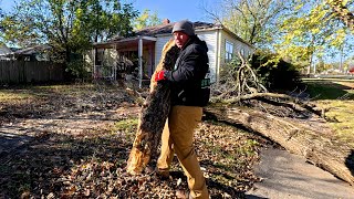 DEAD Tree Falls On Elderly Ladys CAT So We Did This To Help Her Out [upl. by Abramson]