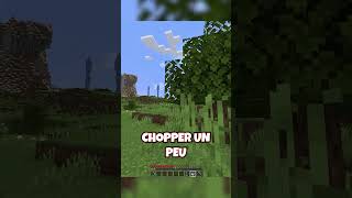 PETIT FERS  gamingfrance minecraft minecraftfr youtubefrance [upl. by Nahamas]