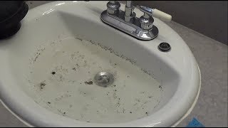 How to Unclog a Bathroom Sink [upl. by Akimal978]