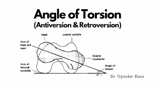 Angle of Torsion [upl. by Onder]