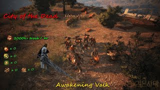 BDO City of the Dead Guide  Valkyrie Awakening [upl. by Nolahs]