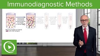 Immunodiagnostic Methods – Immunology  Lecturio [upl. by Oz]