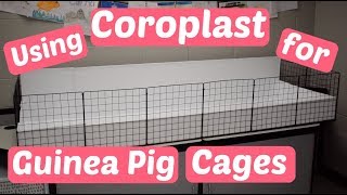 Cutting amp Scoring Coroplast for Guinea Pig Cage [upl. by Nilyahs527]