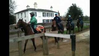 Newmarket Horses riding out 050411  Rouge Rose  Daniel Darc [upl. by Nilved206]