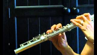 Lamberson Used Flute for Sale  Low  Mid Range Demo [upl. by Mccurdy]