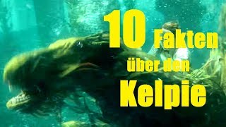 10 FAKTEN über den KELPIE [upl. by Goodhen]