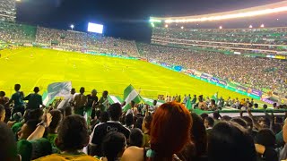 Deportivo Cali vs Junior  FRENTE RADICAL VERDIBLANCO [upl. by Nivaj]