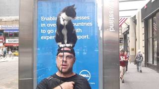 Catman Charlie and The KONYH  Cat on the Head New York City [upl. by Poole753]