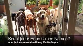 Kennt jeder Hund seinen Namen [upl. by Noiro971]