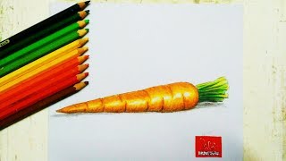 How to draw a carrot  Carrot pencil color drawing tutorial  Vegetables drawing [upl. by Studley859]