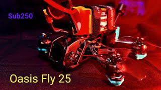 Sub250 Oasisfly 25 Just Ripping Around Coz Its Fun 😁 [upl. by Eltsyrc]