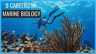 9 Careers in Marine Biology You Should Know About  Careers in Biology [upl. by Ali]