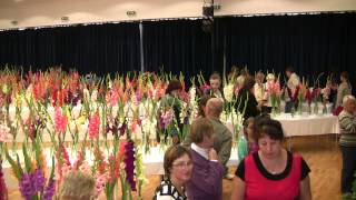 Medzinárodná výstavaGadioly Bytča 2012 Slovakia Gladiolus Show VýstavaMečíky [upl. by Lemrac]