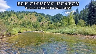 This stream is the Epitome of Perfection  3 day Backcountry Fly Fishing Trip [upl. by Zakaria]