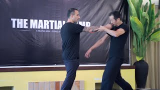 THE MARTIAL CAMP 2020 Video Highlights • Taiji Quan  Wing Chun  5 Ancestors Fist  Prana Dynamics [upl. by Lashonde]