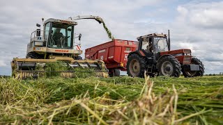 Ensilage dherbe en Claas Jaguar 860 en CharenteMaritime [upl. by Karilynn]