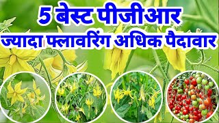 5 best PGR  Best PGR  PGR Plant growth regulator ज्यादा फ्लावरिंग ज्यादा फुटाव [upl. by Anoel]